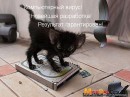 Сергій Чубар фотография #8 (источник - https://vk.com/id69593597)