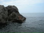 Андрій Стахура фотография #48 (источник - https://vk.com/id26309253)