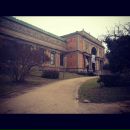 Julia K. фотография #24 (источник - https://vk.com/id425583)