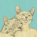 Фотография Сергеевны Асии