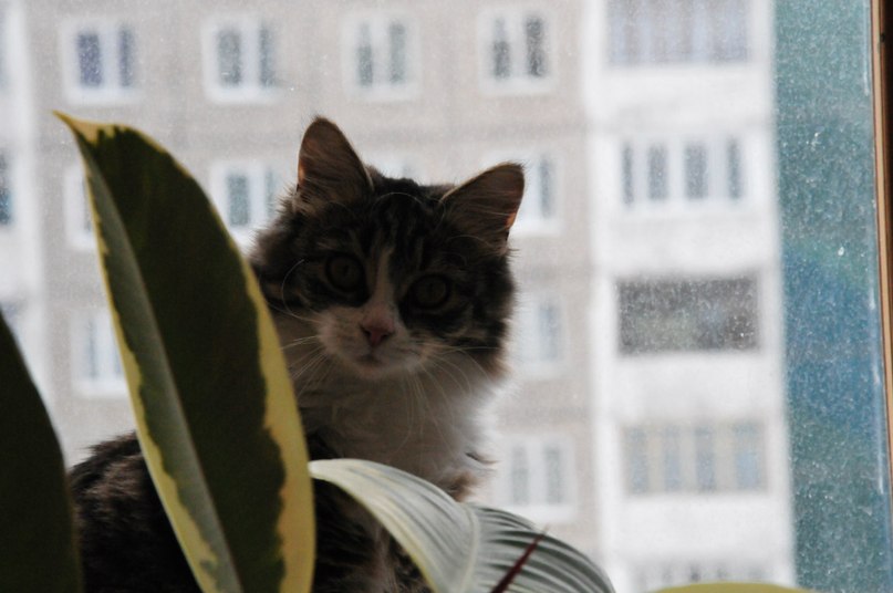 Антон Салянский фотография #48