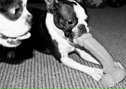 Дмитрий Дмитриев фотография #5 (источник - https://vk.com/id427436)