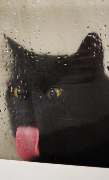 Павел Насенков фотография #25