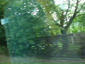 Ромул Рем фотография #26 (источник - https://vk.com/id4353335)