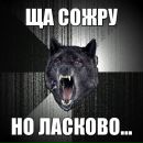 Анічка Кіт фотография #7 (источник - https://vk.com/id119966541)