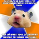 Машка Заєць фотография #50 (источник - https://vk.com/id8579699)