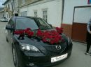 Κристина Κононова фотография #28 (источник - https://vk.com/id163371422)