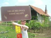 Фотография Роговицкого Дмитрия