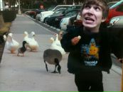 Фотография  