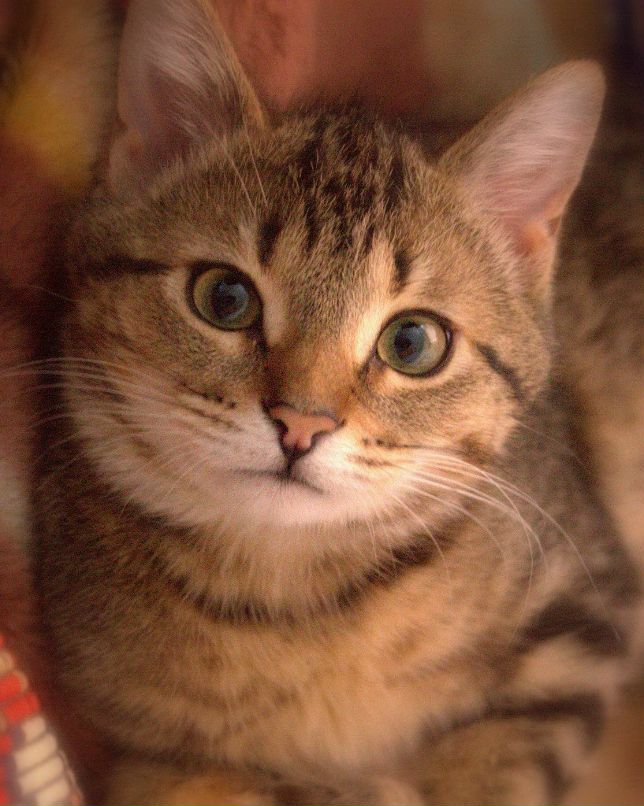 Данил Латкин фотография #18