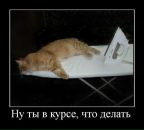 Рустам Садыков фотография #33 (источник - https://vk.com/id3060273)