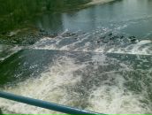 Сергій Манжура фотография #13 (источник - https://vk.com/id155292009)