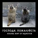 Фотография Костромцова Серёги