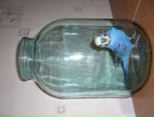 Фотография Балаев Иван