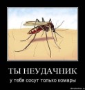 Андрій Величко фотография #13 (источник - https://vk.com/id82751665)