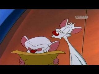 Пинки и Брейн (3 Сезон 7 Серия)