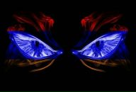 Фотография Ковальчука Николая