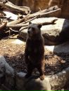 Іван Спас фотография #15 (источник - https://vk.com/id103149214)