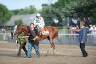 Drosselmeyer Favorite фотография #5 (источник - https://vk.com/id86315511)