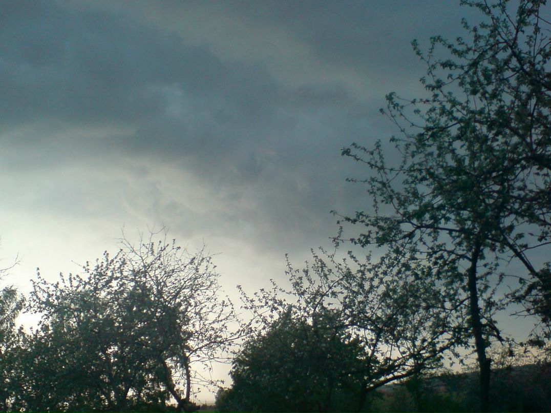 Денис Николаев фотография #6