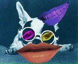 Фотография Таболиной Розы