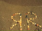 Фотография Прокипа Ярослава