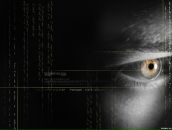 Фотография Бацунова Наталья