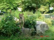 Фотография Мишуткиной Жанны