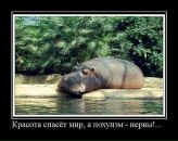 Фотография Егоровой Натальи