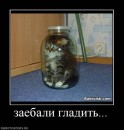 Я... ФоЛныФко=) фотография #12 (источник - https://vk.com/id58452694)