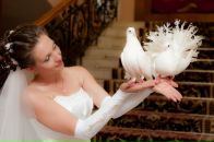 Фотография Коновой Алины