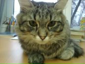 Фотография Сычёва Димы