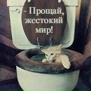 Марія Пристай фотография #1