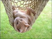 Фотография Луконин Алексей