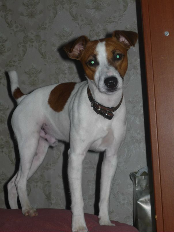 Вадим Клименко фотография #30