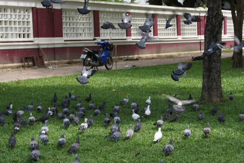 Иван Пешков фотография #41