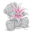 Фотография Арсеньевой Анастасии