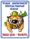 Андрій Ганущак фотография #23 (источник - https://vk.com/id28466288)