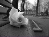 Фотография Даниловой Дарьи