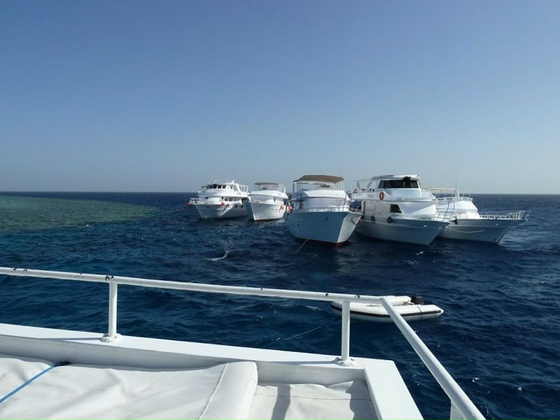 Андрей Логачев фото №31