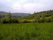 Sergey Apenko фотография #29 (источник - https://vk.com/id3106866)