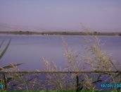 Дмитрий Лерман фотография #10 (источник - https://vk.com/id4769035)