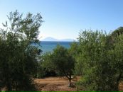 Фотография Сульг Елены