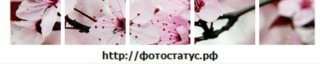 Вікторія Кравець фотография #28 (источник - https://vk.com/id119044267)