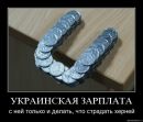 Вєталь Малой фотография #14 (источник - https://vk.com/id35503442)