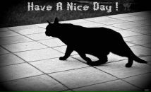 Фотография Валинов Максим