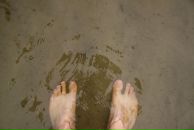 Фотография Fomin Oleg