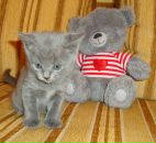 Фотография Савичевой Ирины