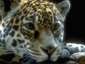 Іван Юрса фотография #39 (источник - https://vk.com/id61675457)