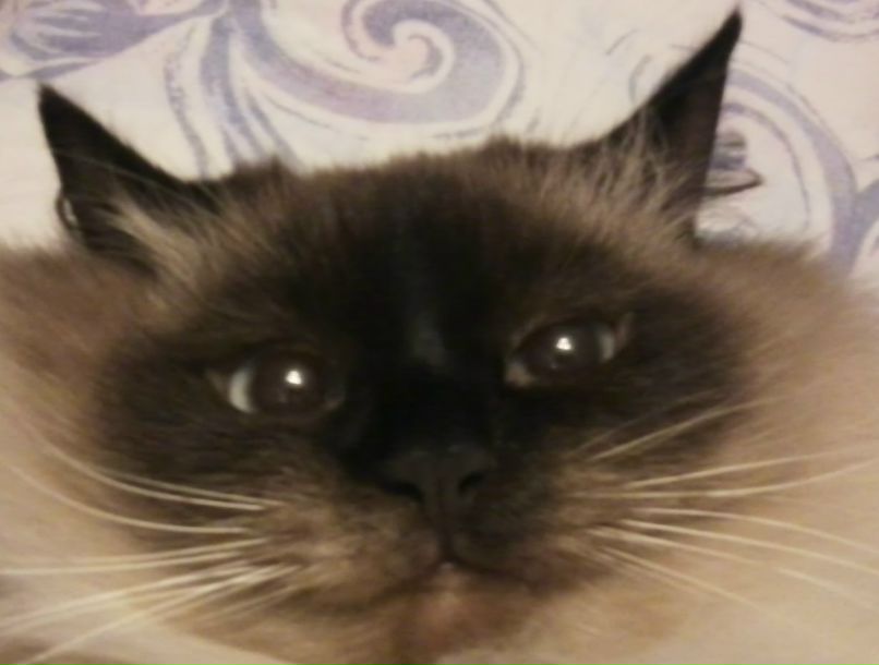 Сергей Умаров фотография #35